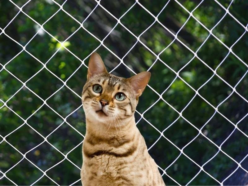 Empresa especializada em Telas de segurança em Recife