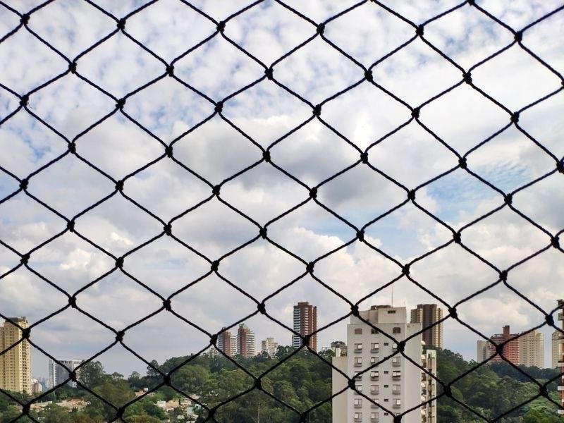 Rede de Proteção Recife