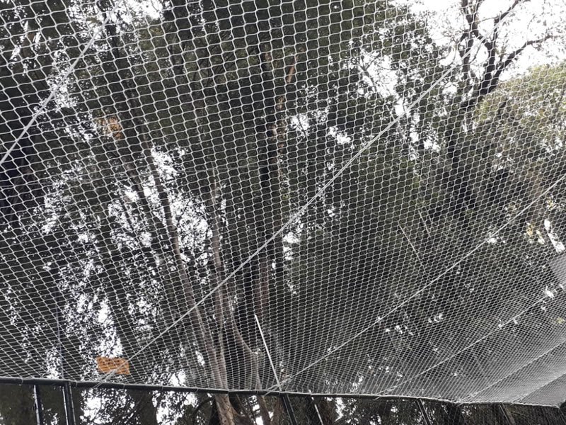 Telas mosquiteiras em Recife