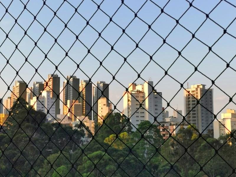 Rede de Proteção Recife