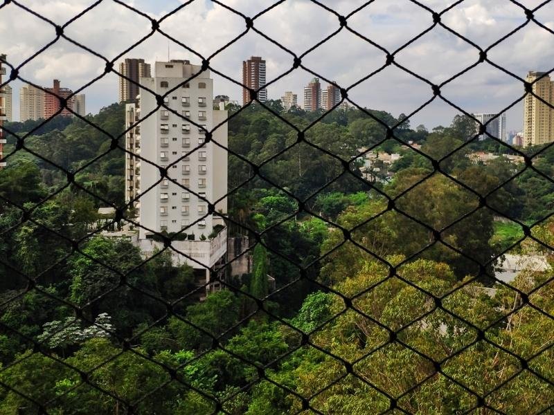 Rede de Proteção Recife